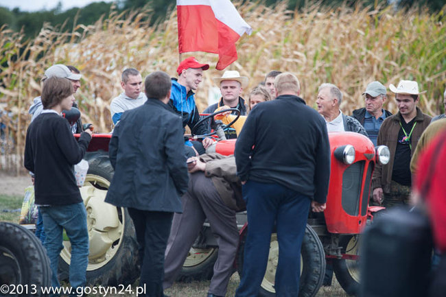 Kukurydziane żniwa - zdjęcia