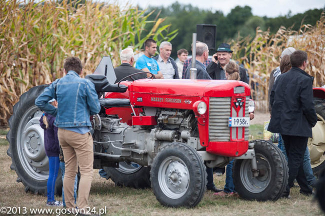 Kukurydziane żniwa - zdjęcia