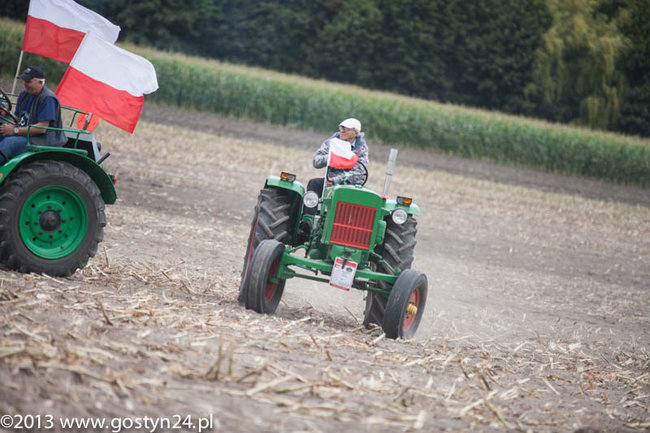 Kukurydziane żniwa - zdjęcia