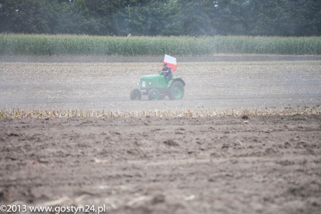 Kukurydziane żniwa - zdjęcia