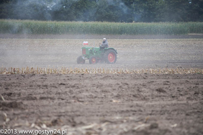 Kukurydziane żniwa - zdjęcia