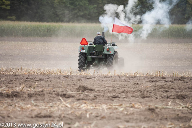 Kukurydziane żniwa - zdjęcia