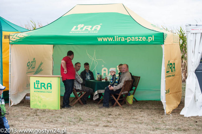 Kukurydziane żniwa - zdjęcia