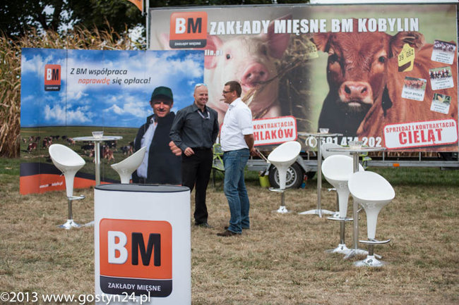 Kukurydziane żniwa - zdjęcia