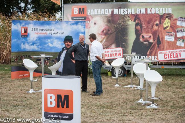 Kukurydziane żniwa - zdjęcia