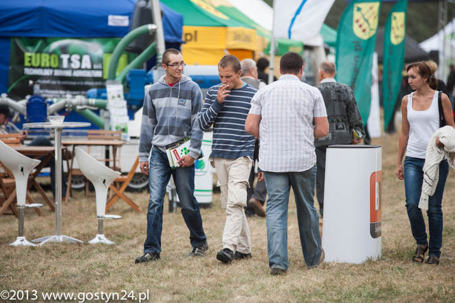 Kukurydziane żniwa - zdjęcia