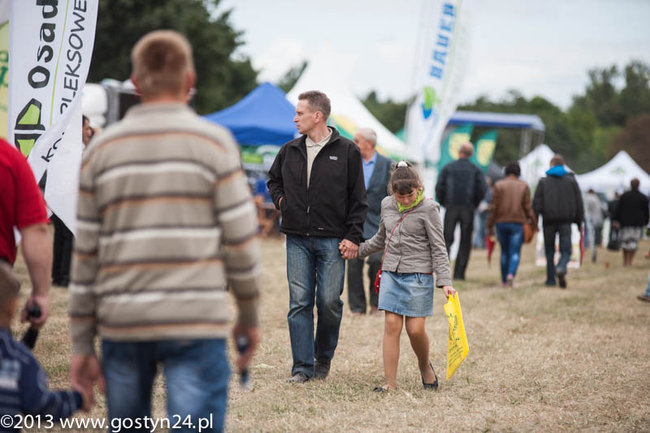 Kukurydziane żniwa - zdjęcia