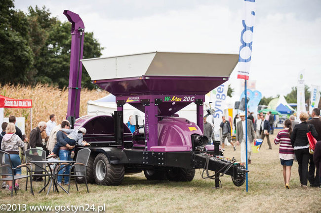 Kukurydziane żniwa - zdjęcia