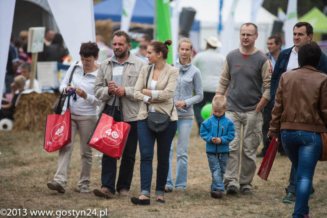 Kukurydziane żniwa - zdjęcia