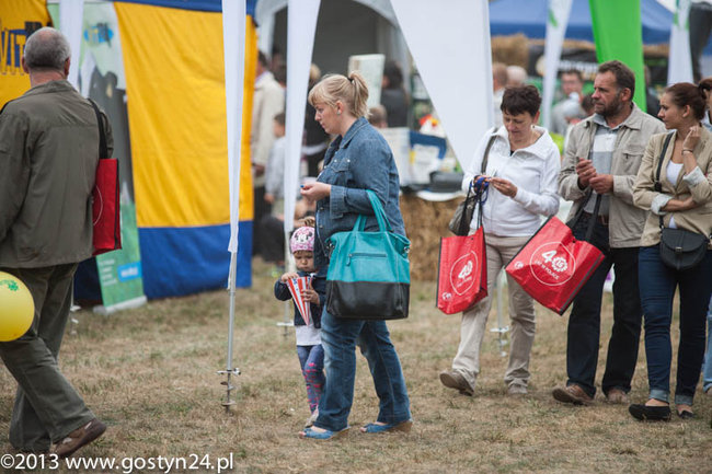 Kukurydziane żniwa - zdjęcia