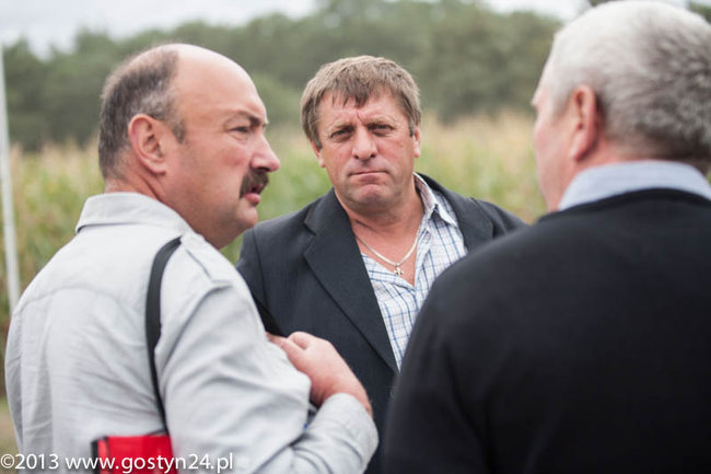 Kukurydziane żniwa - zdjęcia