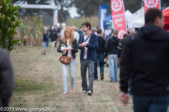 Kukurydziane żniwa - zdjęcia