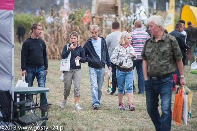Kukurydziane żniwa - zdjęcia