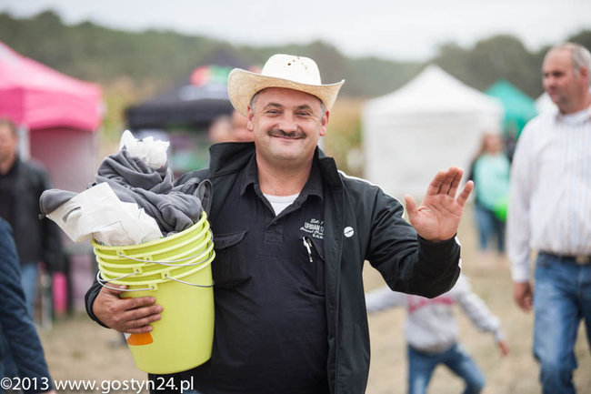 Kukurydziane żniwa - zdjęcia