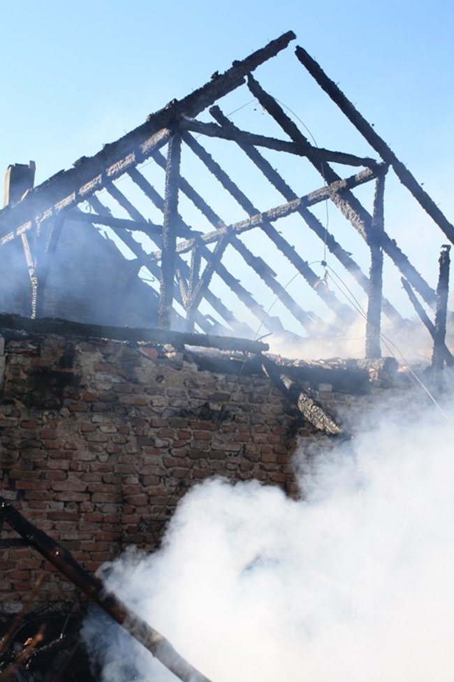 Niebezpieczny pożar w środku lasu - zdjęcia