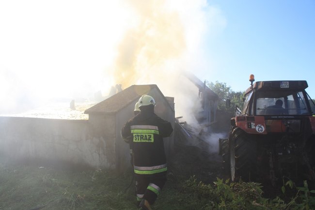 Niebezpieczny pożar w środku lasu - zdjęcia