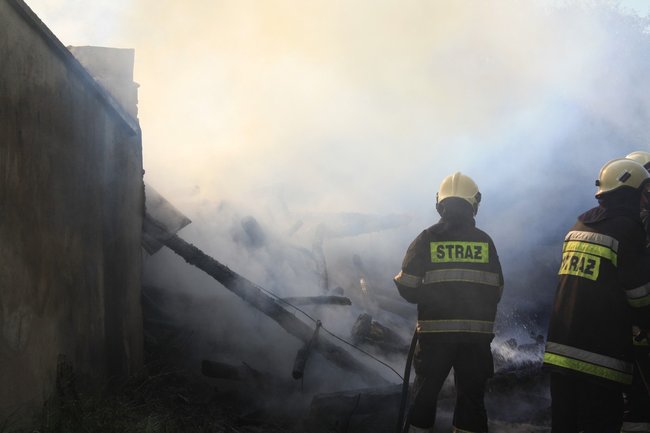 Niebezpieczny pożar w środku lasu - zdjęcia
