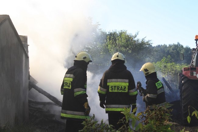 Niebezpieczny pożar w środku lasu - zdjęcia