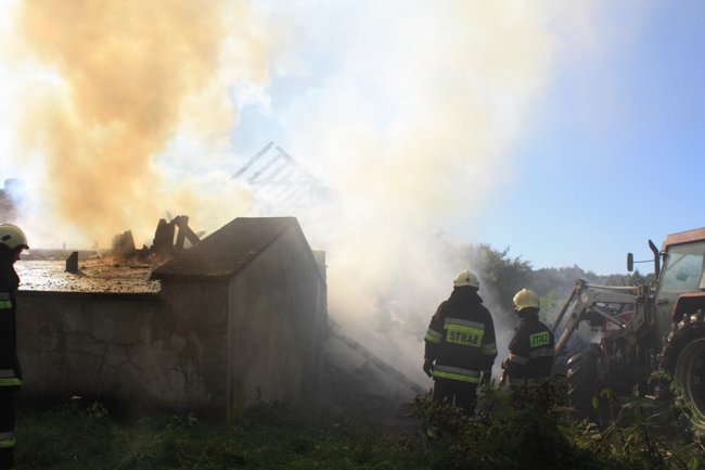 Niebezpieczny pożar w środku lasu - zdjęcia