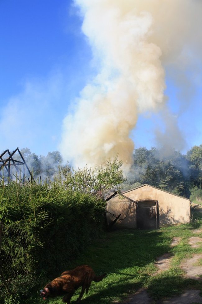 Niebezpieczny pożar w środku lasu - zdjęcia