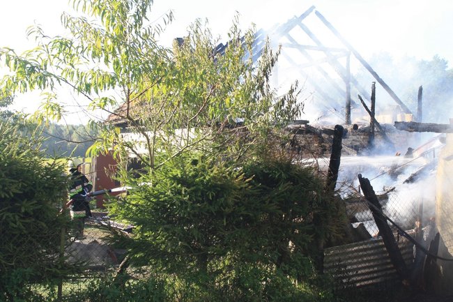 Niebezpieczny pożar w środku lasu - zdjęcia