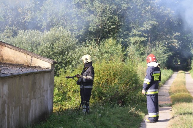 Niebezpieczny pożar w środku lasu - zdjęcia
