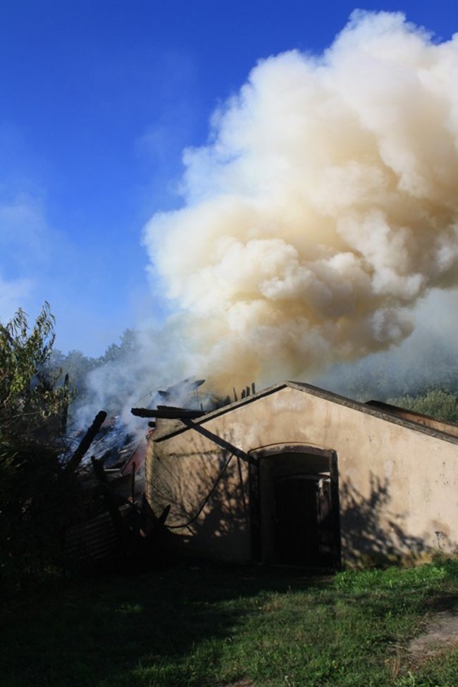 Niebezpieczny pożar w środku lasu - zdjęcia