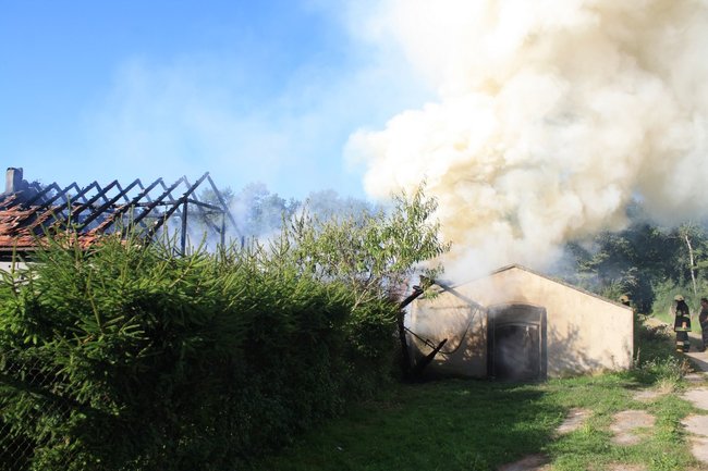 Niebezpieczny pożar w środku lasu - zdjęcia