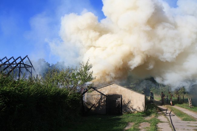Niebezpieczny pożar w środku lasu - zdjęcia