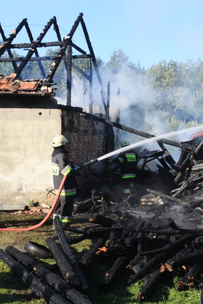 Niebezpieczny pożar w środku lasu - zdjęcia