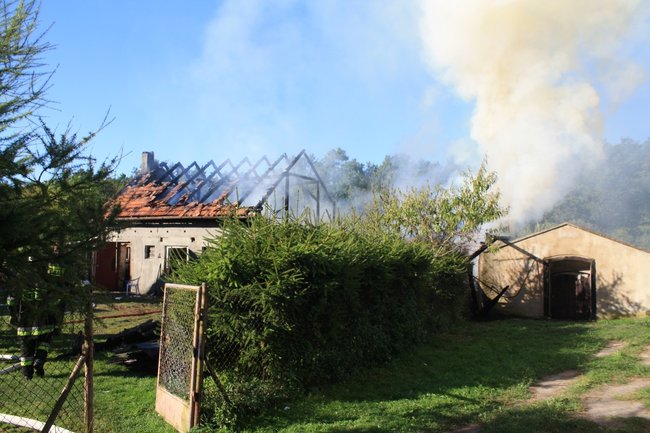 Niebezpieczny pożar w środku lasu - zdjęcia