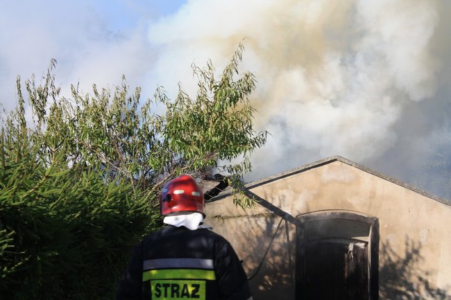 Niebezpieczny pożar w środku lasu - zdjęcia