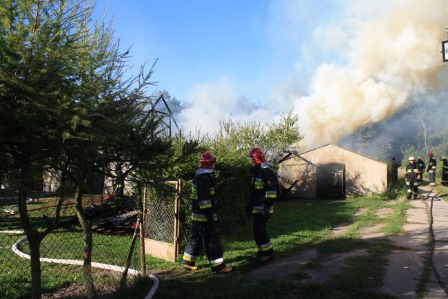 Niebezpieczny pożar w środku lasu - zdjęcia