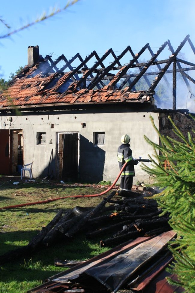 Niebezpieczny pożar w środku lasu - zdjęcia