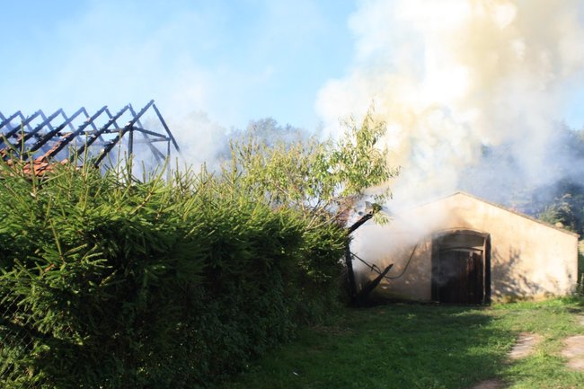 Niebezpieczny pożar w środku lasu - zdjęcia