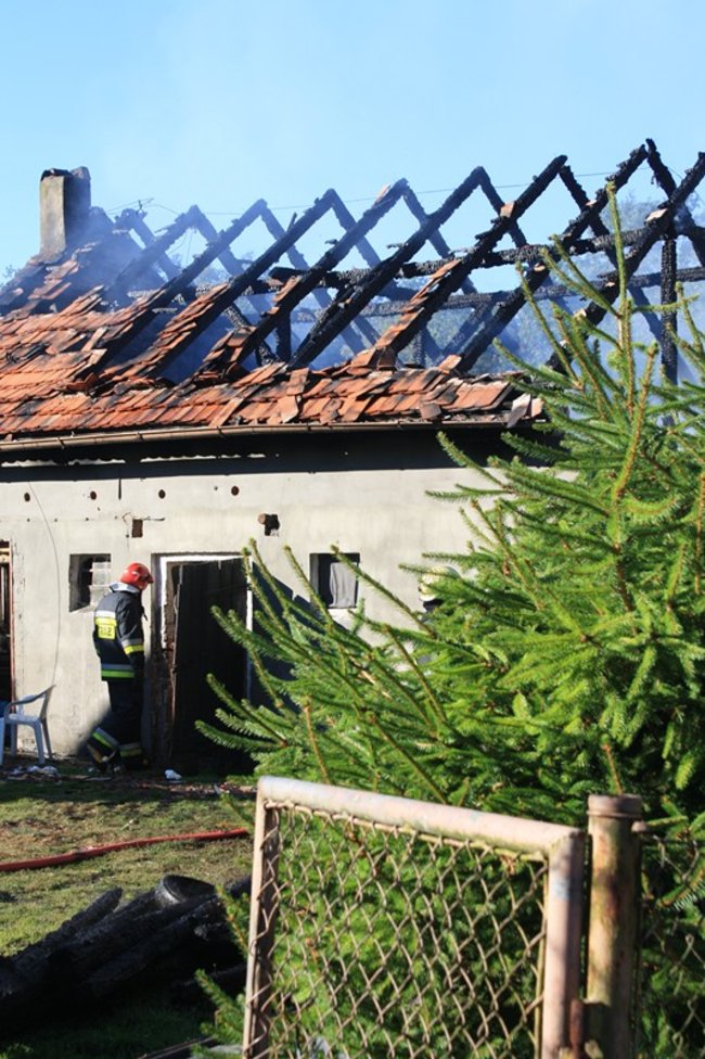 Niebezpieczny pożar w środku lasu - zdjęcia