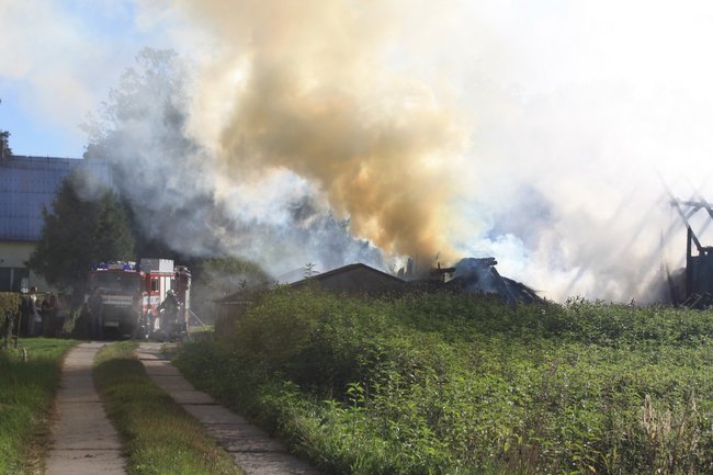Niebezpieczny pożar w środku lasu - zdjęcia