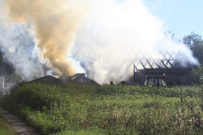 Niebezpieczny pożar w środku lasu - zdjęcia
