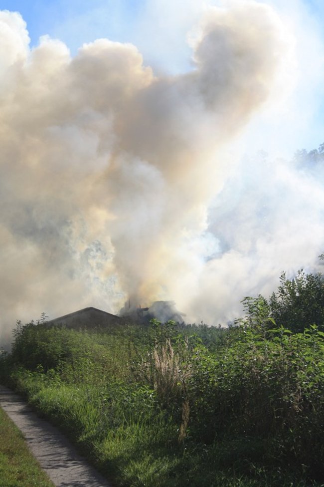 Niebezpieczny pożar w środku lasu - zdjęcia