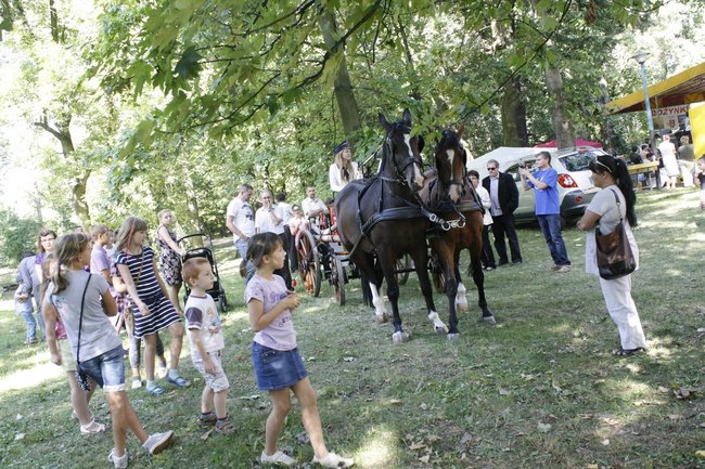 Dożynki z chlebem i białą kiełbasą - zdjęcia