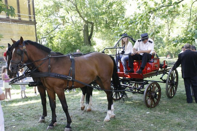 Dożynki z chlebem i białą kiełbasą - zdjęcia