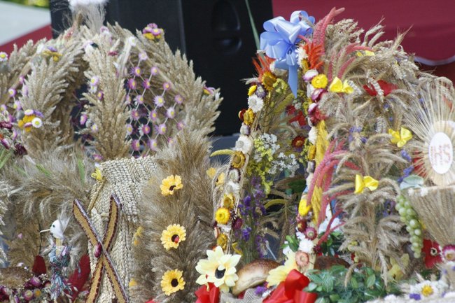 Dożynki z chlebem i białą kiełbasą - zdjęcia