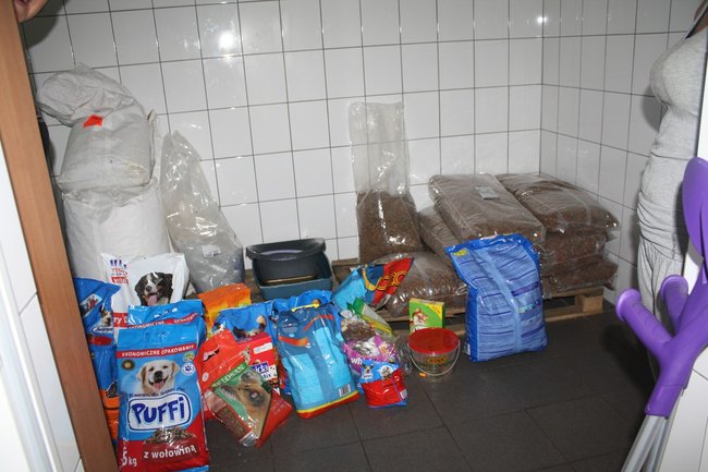 Znalazły nowy dom - zdjęcia