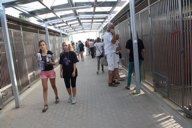 Znalazły nowy dom - zdjęcia