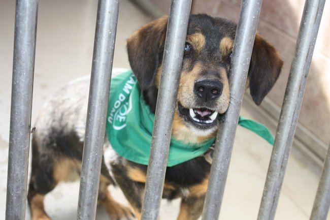 Znalazły nowy dom - zdjęcia