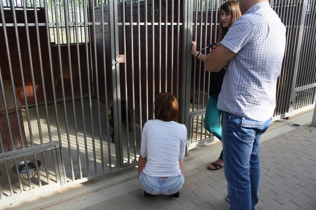 Znalazły nowy dom - zdjęcia