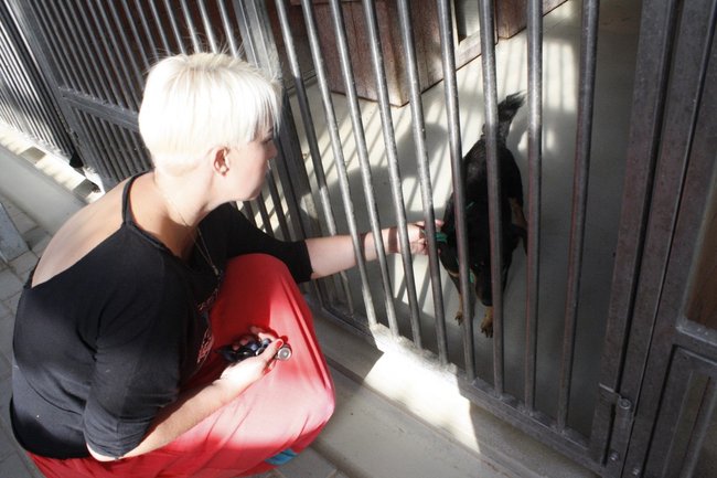 Znalazły nowy dom - zdjęcia