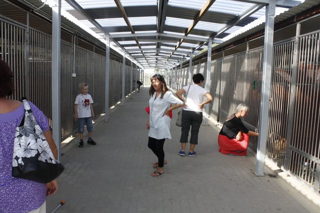 Znalazły nowy dom - zdjęcia