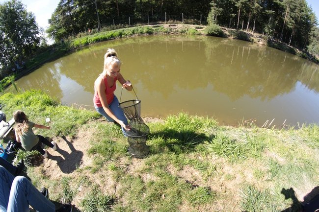 Obrodziło karpiami - zdjęcia