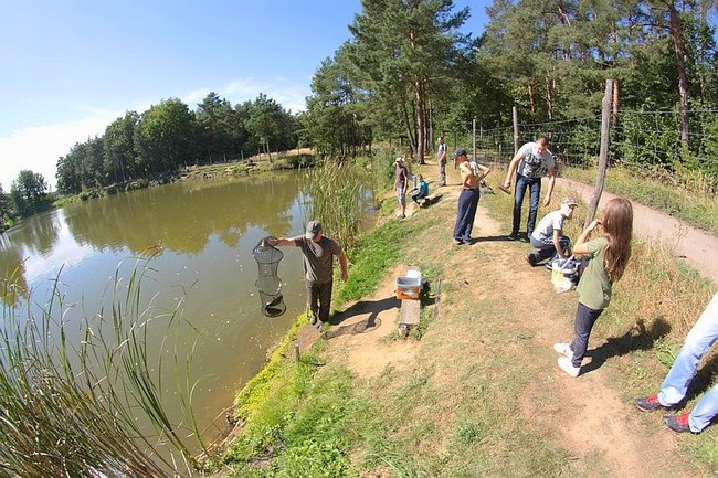 Obrodziło karpiami - zdjęcia